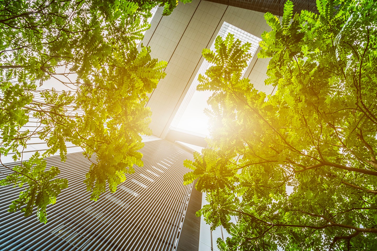 Vy nedifrån och upp mot ett takfönster i ett flerbostadshus, gröna träd där solen silar igenom.